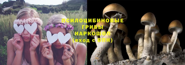тгк Няндома