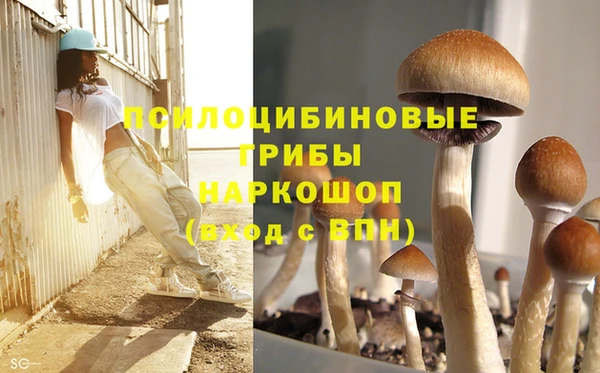 мескалин Осташков