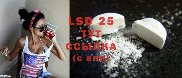 стафф Осинники