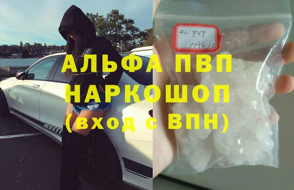 стафф Осинники